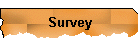 Survey